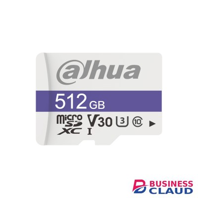 Dahua C100 512GB MicroSD Memory Card