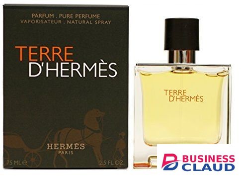 Hermes Terre D'Hermes Eau De Parfum 75ml Men Perfume