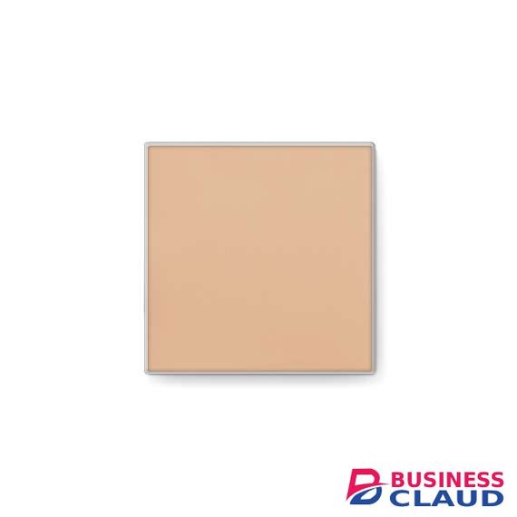 Mary Kay Endless Performance Creme-to-Powder Foundation