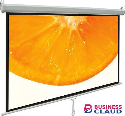 Generic 150cm x 150cm Manual Projector Screen