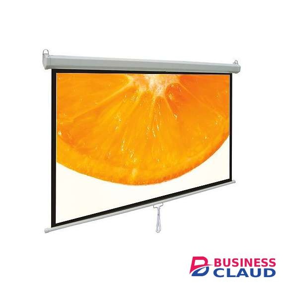Generic 150cm x 150cm Manual Projector Screen