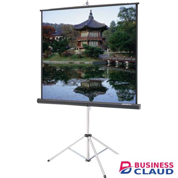 Generic 150cm x 150cm Tripod projection screen