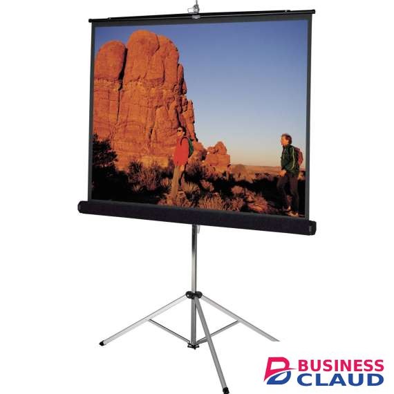 Generic180cm x 180cm Tripod Portable Projector Screen