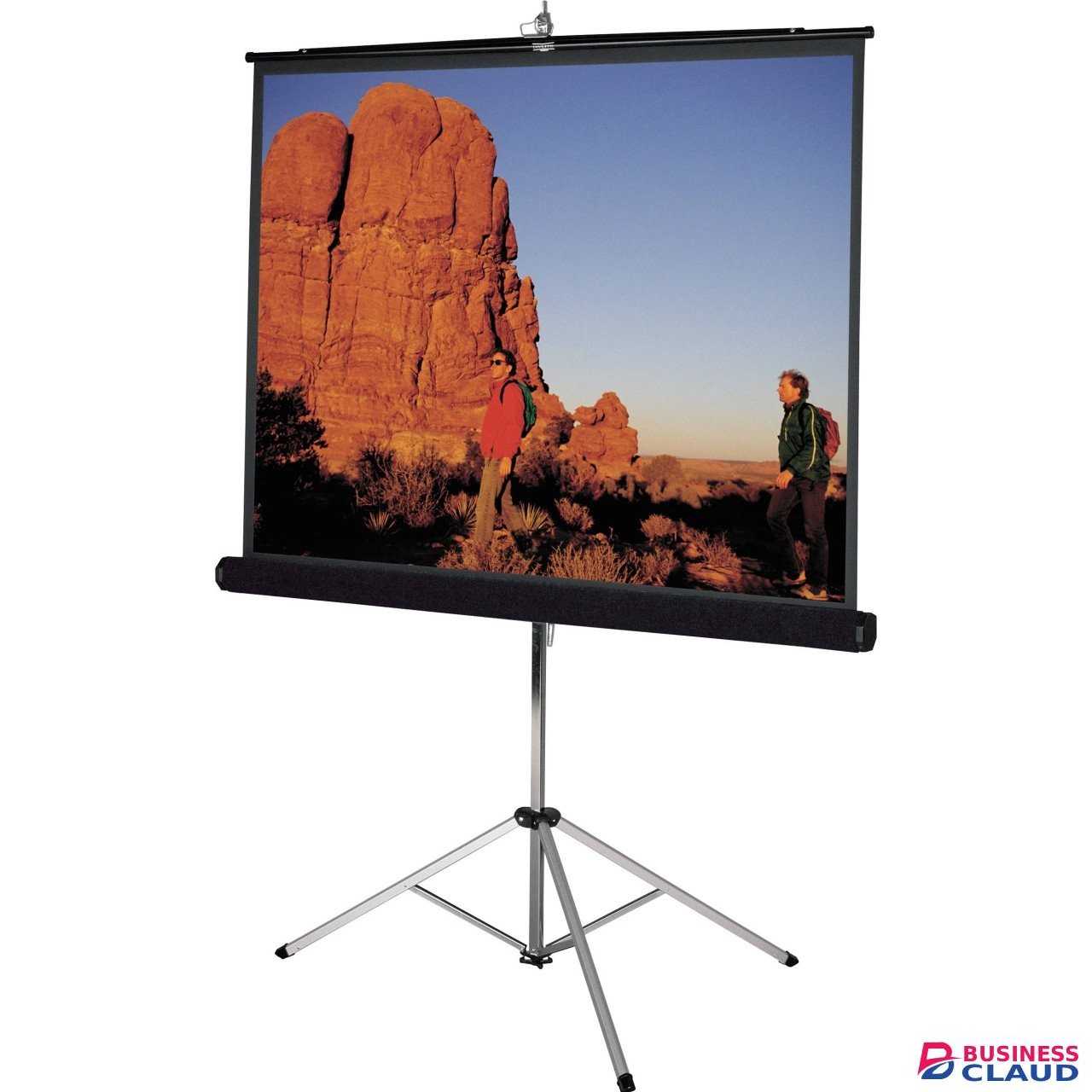Generic180cm x 180cm Tripod Portable Projector Screen