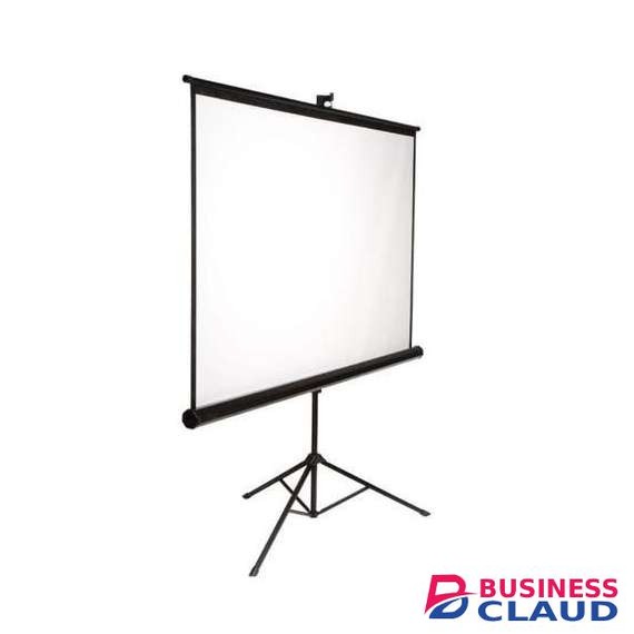 Generic 200cm x 200cm Tripod Portable Projector Screen