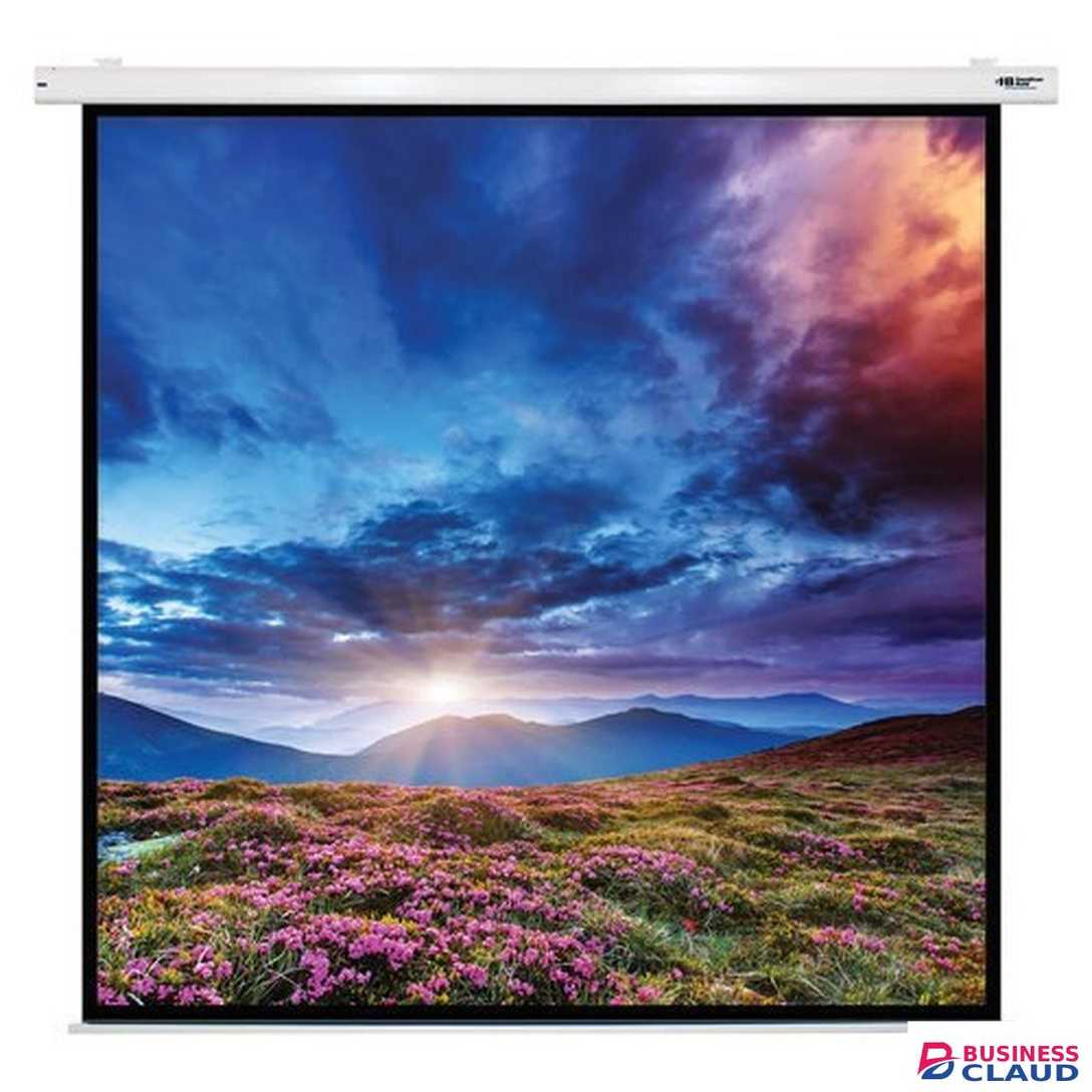 Generic 240cm X 240cm Electric Motorized Projector Screen