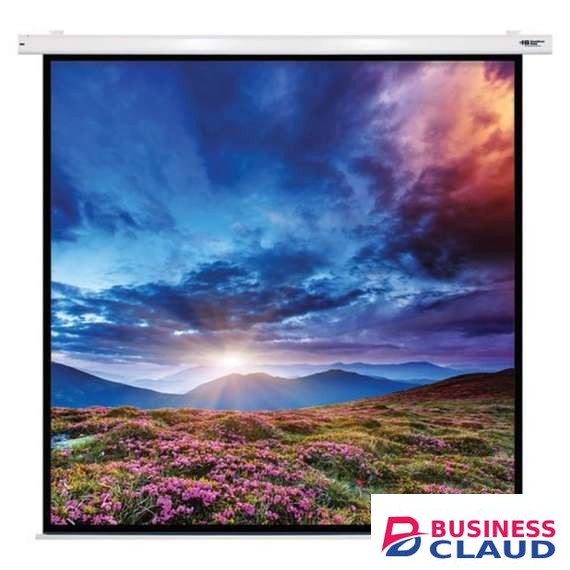Generic 240cm X 240cm Electric Motorized Projector Screen