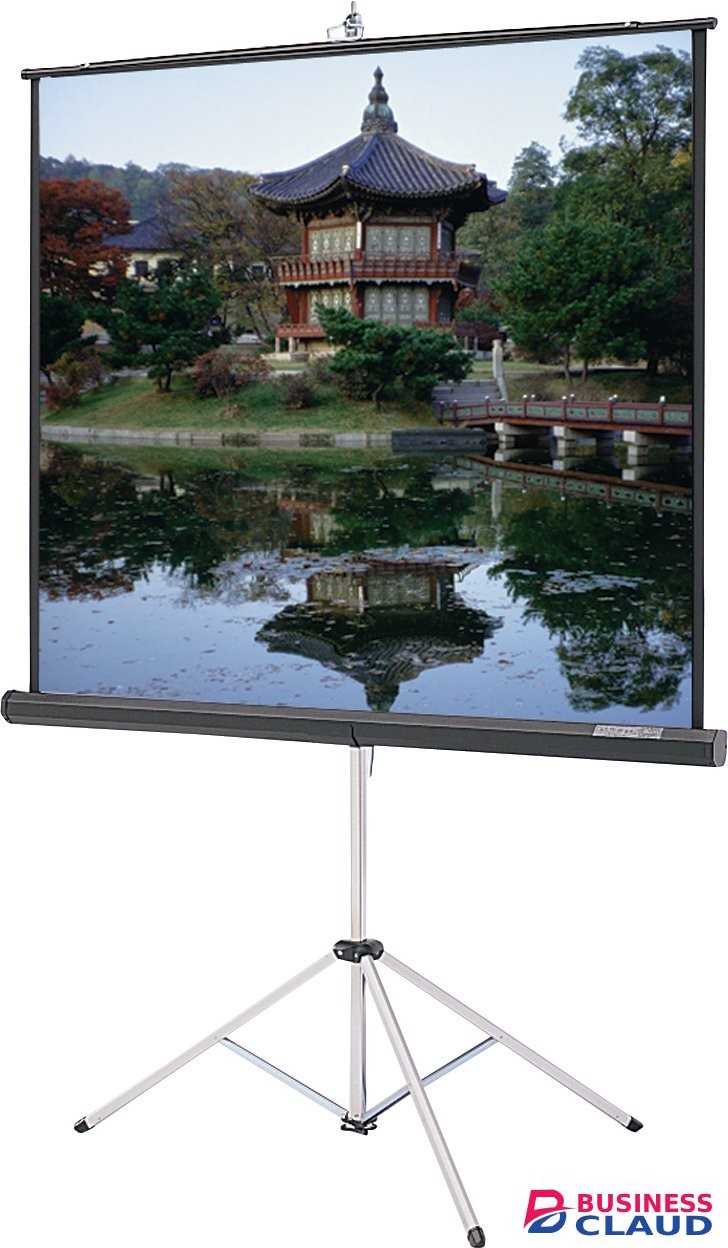 Generic 240 cm X 240 cmTripod Portable Projector Screen