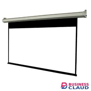 Generic 240cm X 240cm Manual Projector Screen
