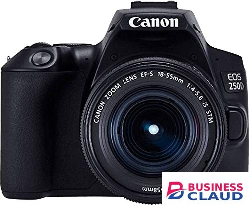 Canon EOS 250D DSLR Camera with 18-55mm f/4-5.6 IS STM Lens