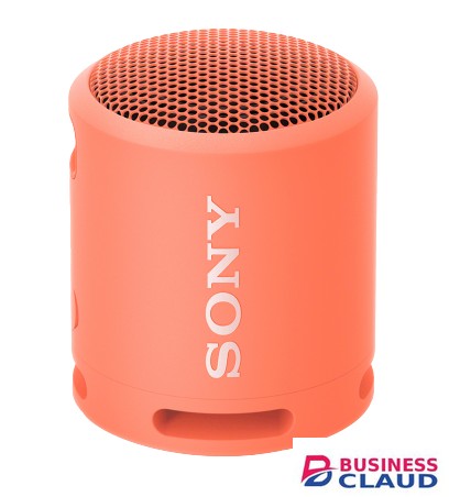 Sony SRS-XB13 Extra BASS Portable Wireless Speaker