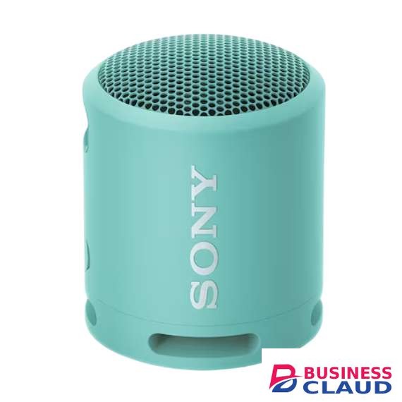 Sony SRS-XB13 Extra BASS Portable Wireless Speaker