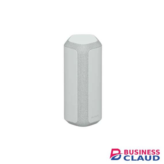 Sony SRS-XE300 Portable Bluetooth Speaker