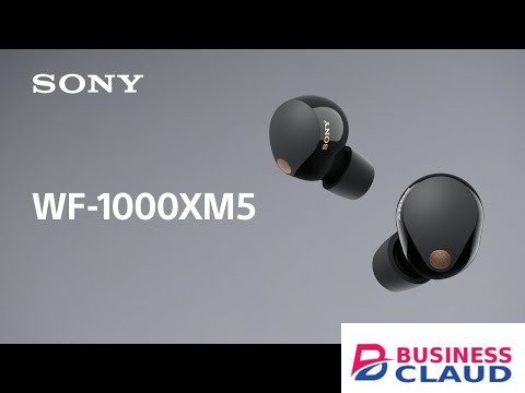 Sony WF-1000XM5 Wireless Noise Cancelling Headphones