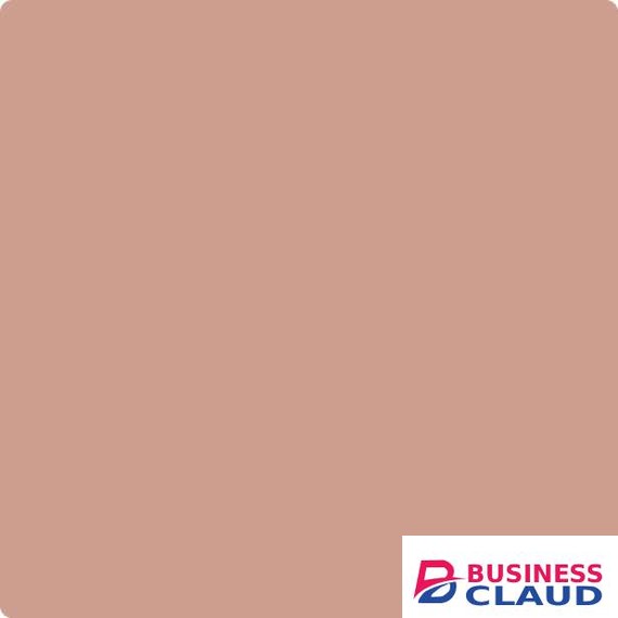 Visico Solid Color Background Cocoa 3 x 5 m Backdrop