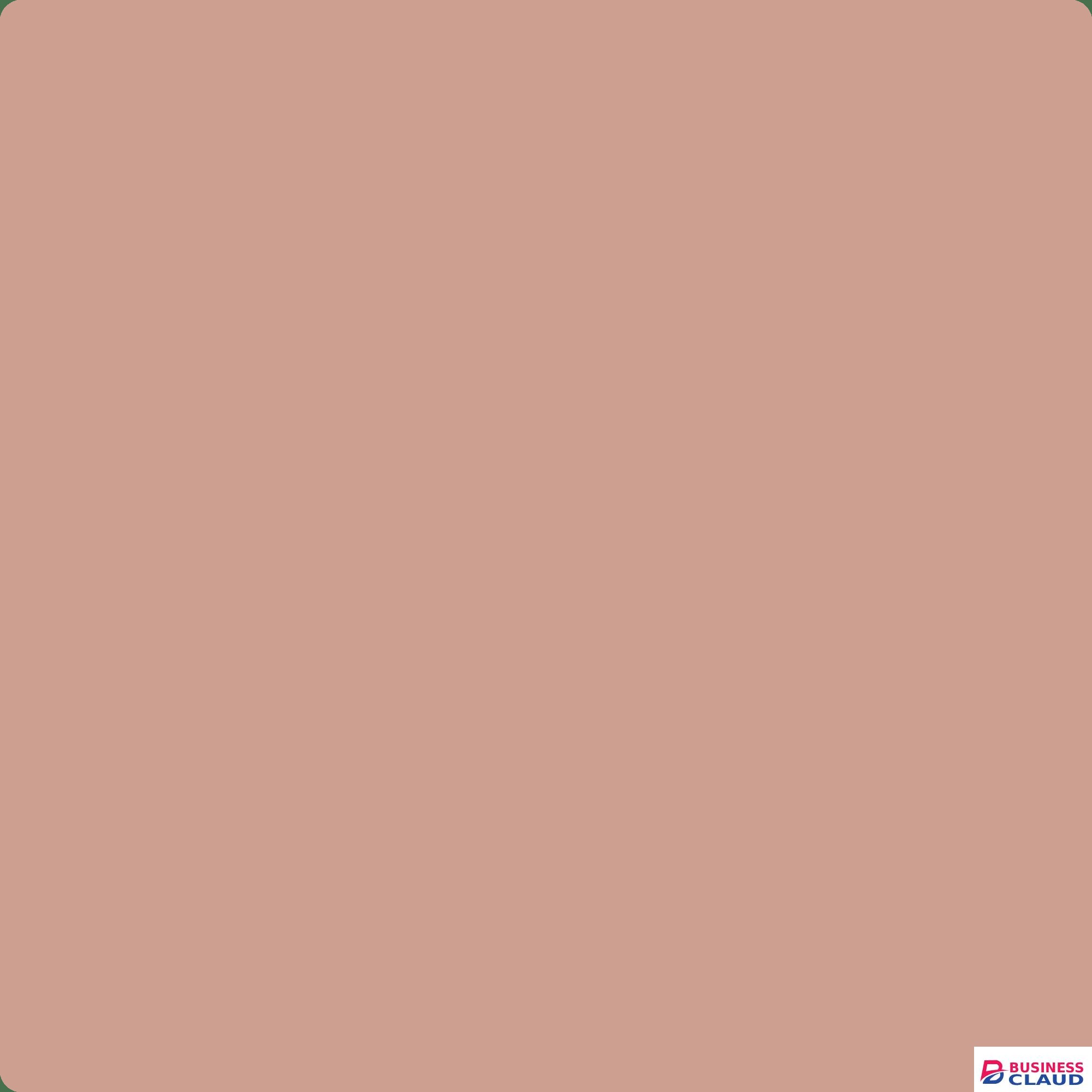 Visico Solid Color Background Cocoa 3 x 5 m Backdrop