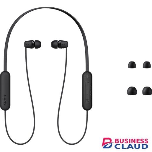 Sony WI-C100 Wireless In-Ear Headphones
