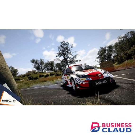 WRC 10 FIA World Rally Championship Standard Edition