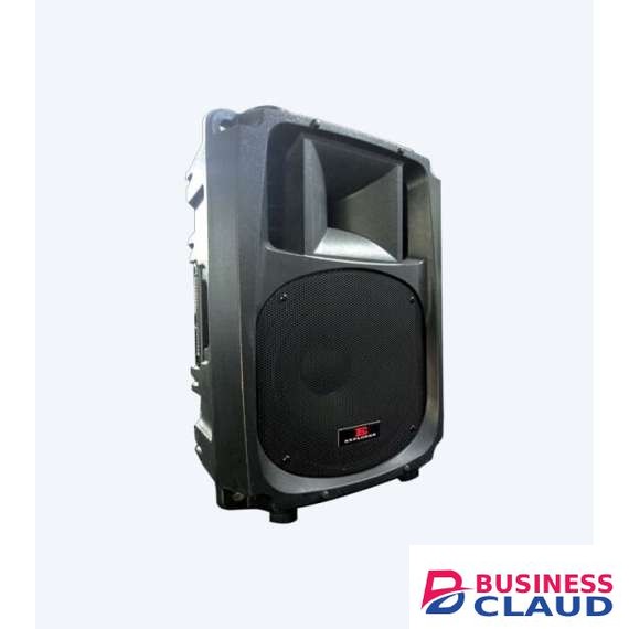 Explorer EXP 15P Passive Speaker