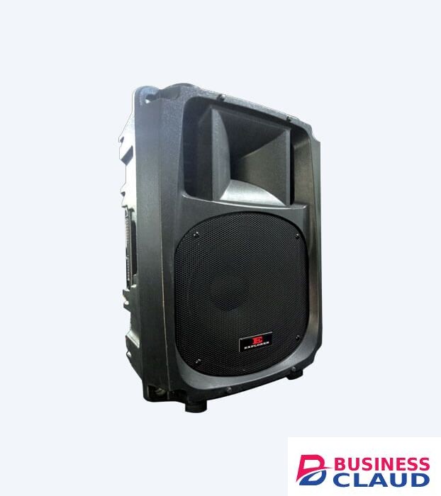 Explorer EXP 15P Passive Speaker