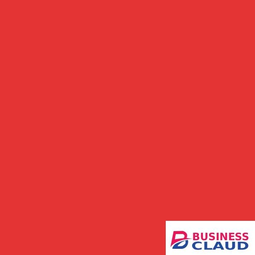 Visico Paper Backgound 2.75X10M Red