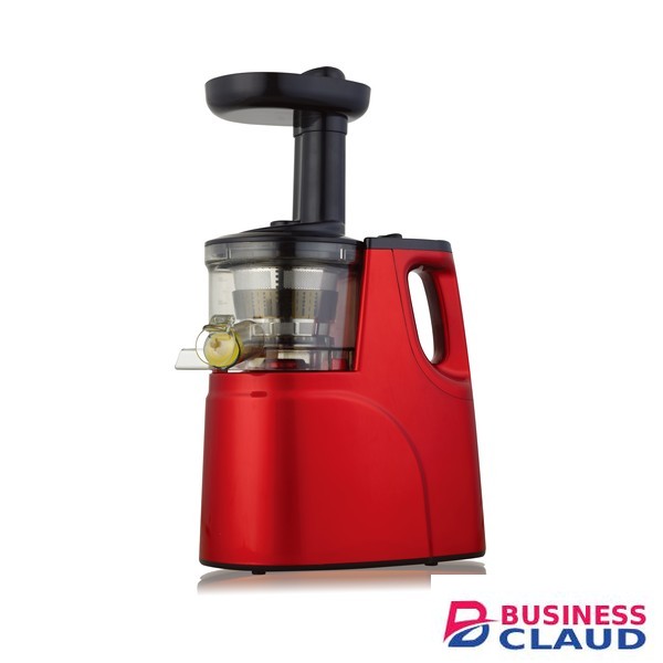 Rebune RE-2-079 Slow Juicer