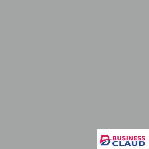 Visico 1.35 X10M Light Grey Paper Backgound