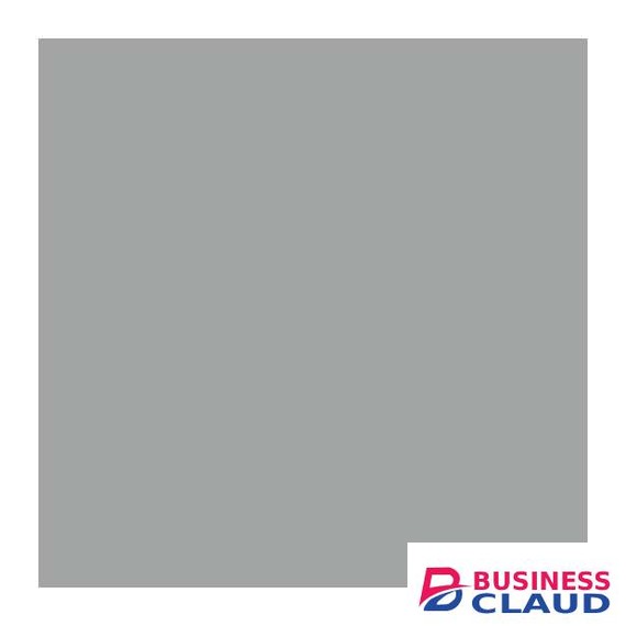 Visico 1.35 X10M Light Grey Paper Backgound