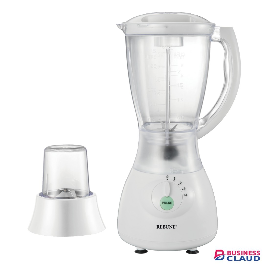 Rebune RE-2-143 2 in 1 Electric Blender