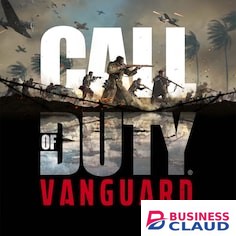 Call of Duty Vanguard Standard Edition PS4 Game