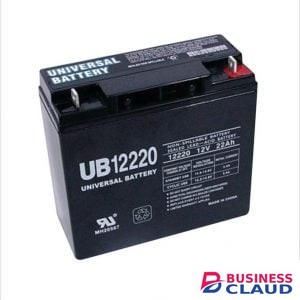 Delta 6V 1.3 AH UPS Battery