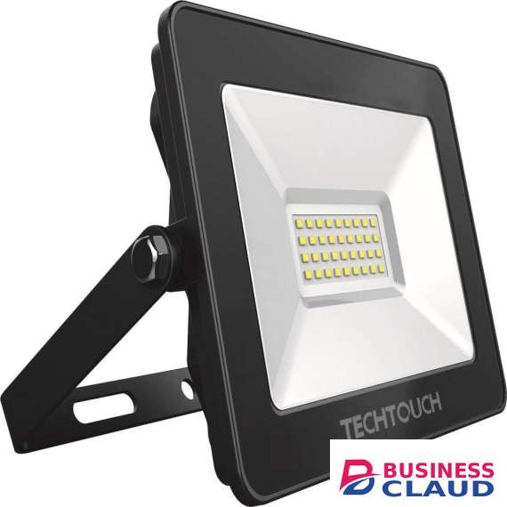 Tech Touch 30 w Floodlight