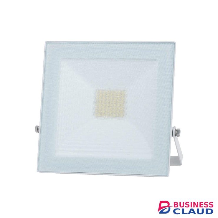 Tronic SL 3079-03-WH-DL 30 Watts White LED Floodlight