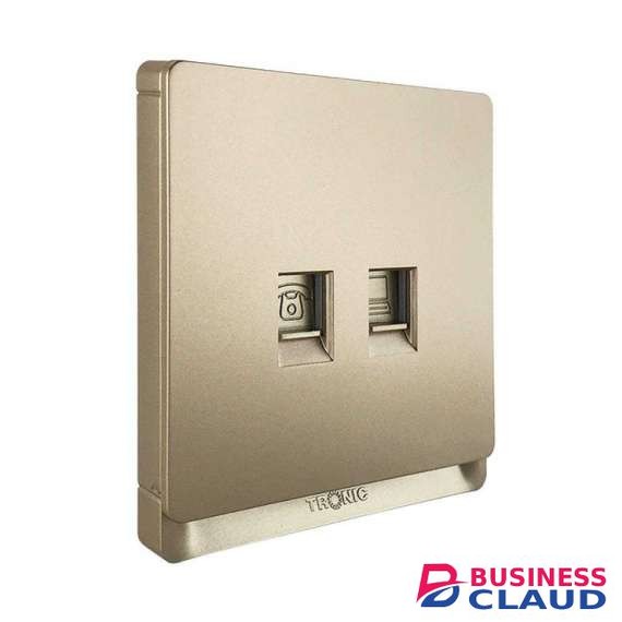 Tronic TD 5164-GO Gold Data And Telephone Socket