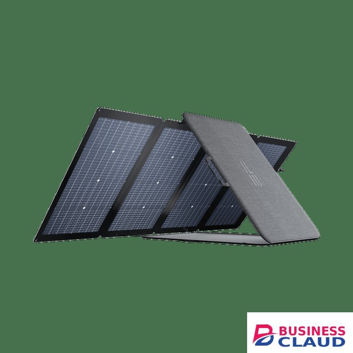 Ecoflow SOLAR220W Solar Panel