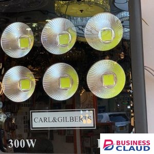 Carl and Gilberts 300 Watts LED Floodlights