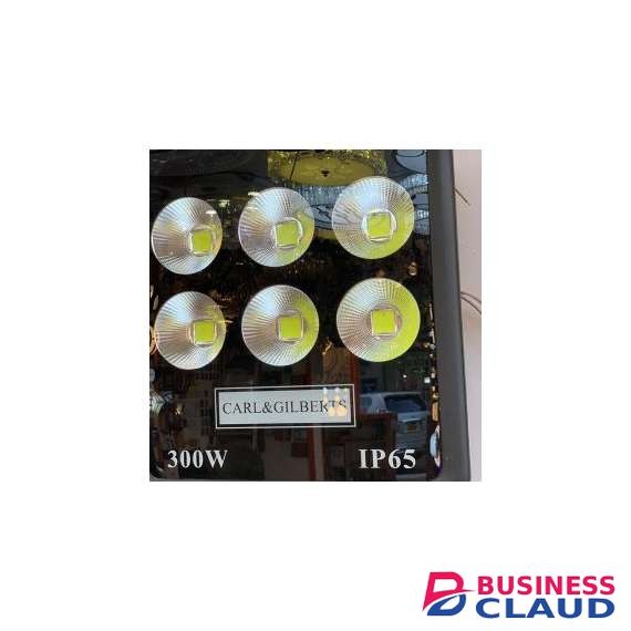 Carl and Gilberts 300 Watts LED Floodlights