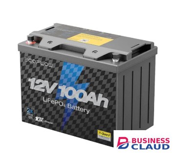 ECOFLOW EF-PK-B12-1 LIFEPO4 Battery