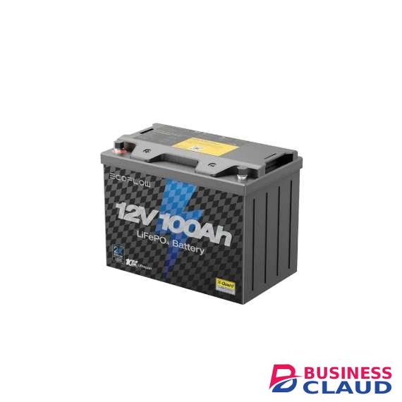 ECOFLOW EF-PK-B12-1 LIFEPO4 Battery