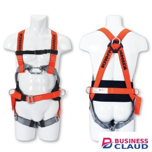 Workman Fall Arrester Harness