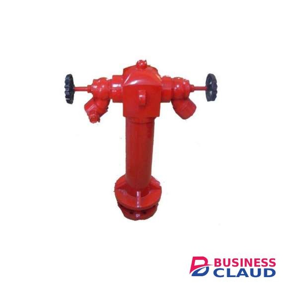 DN100 Two-Way Fire Hydrant with Valve