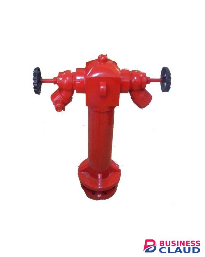 DN100 Two-Way Fire Hydrant with Valve