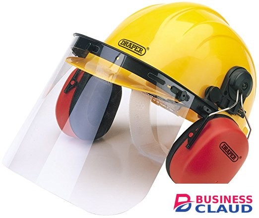 Safety Helmet with Face Shield and Ear Muffs