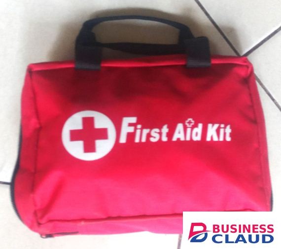 Small Red Canvas First Aid Kit