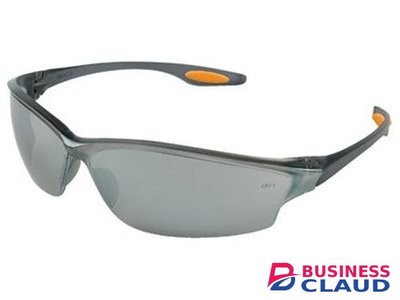 Blue Frame Safety Spectacles