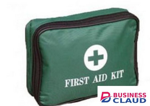 Green Pouch First Aid Kit