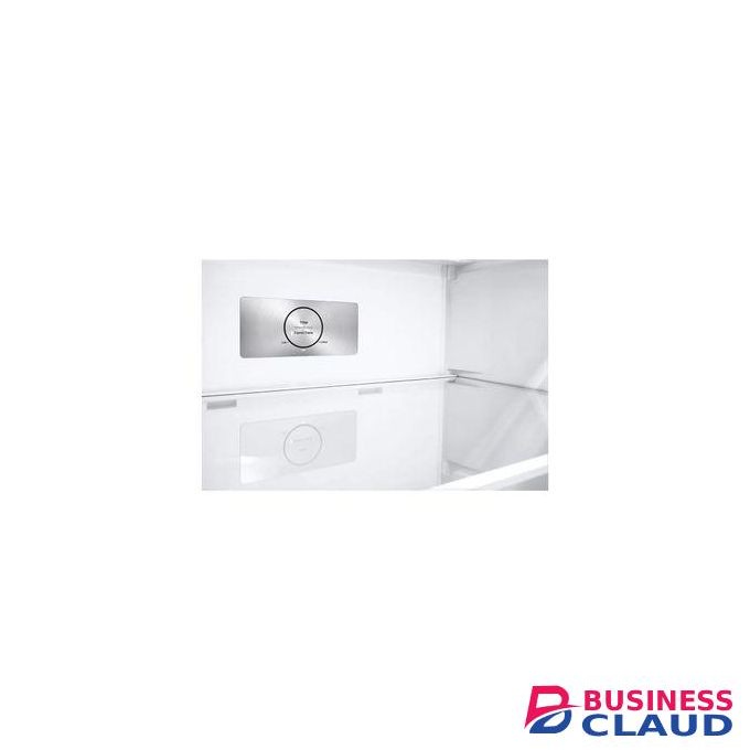 LG LG 395(L) | Top Freezer Refrigerator |Smart Inverter Compressor | LinearCooling™ (2YRs WRTY)