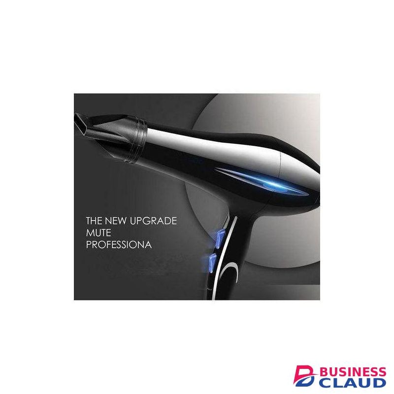 Canye Commercial Electric Hair Dryers - Professional Salon Hair Dryer with beauty accessories- hair dryer, flat iron, hair tongs, combs, hair clips, Diffuser, and nail care accessories.