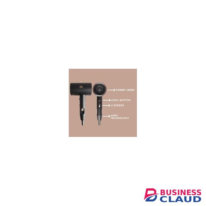 Rebune Fashion Hair Dryer HD-2004