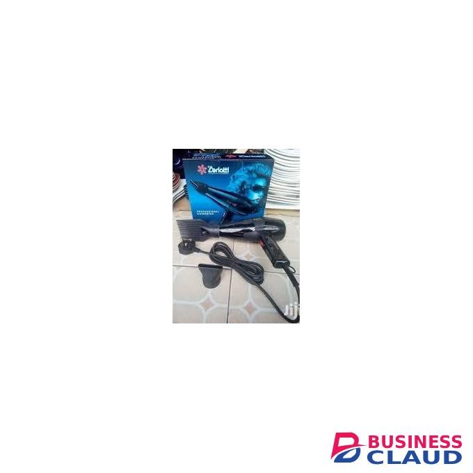 Ceriotti GEK Hair Dryer Blow Dry / Straightener